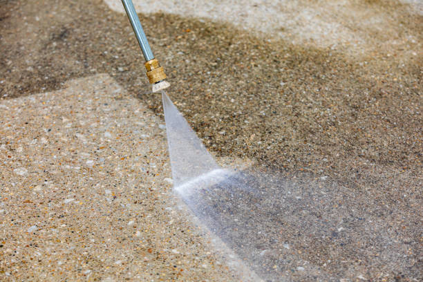 Animal Enclosure Cleaning in Beverly Hills, TX